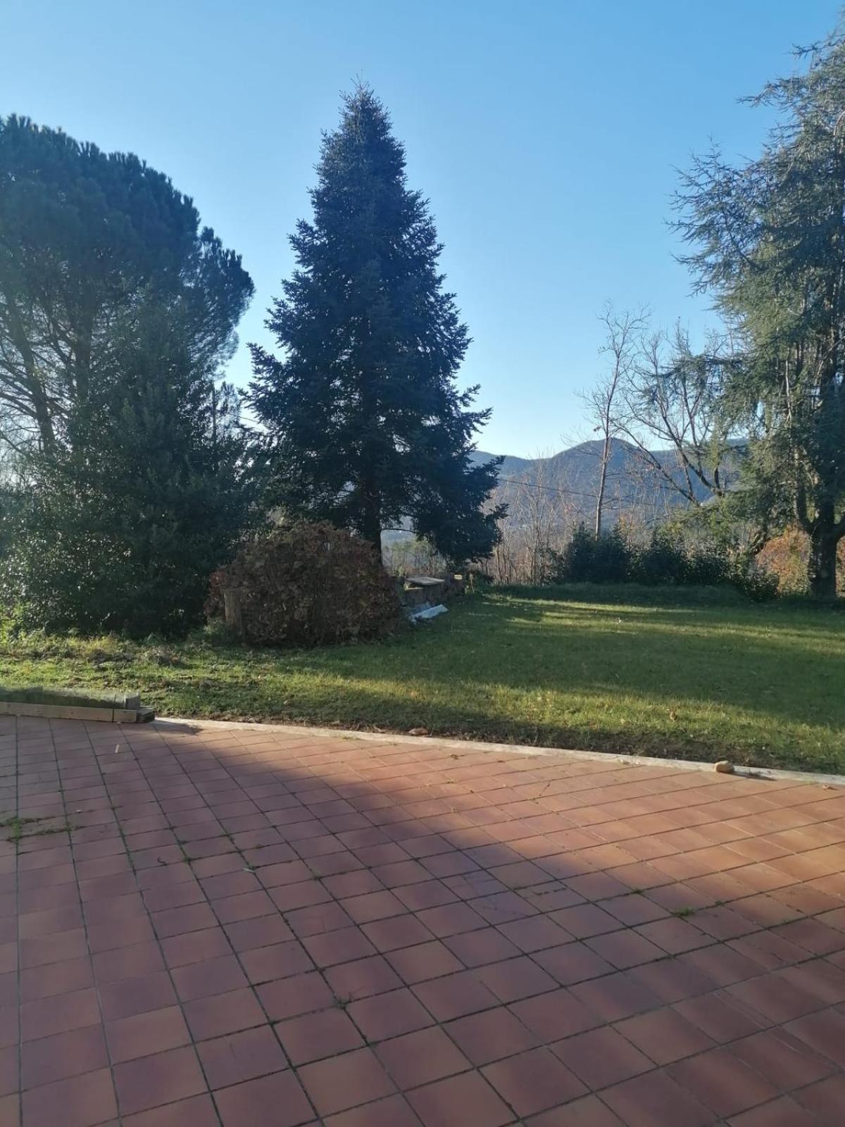 Le Camelie Βίλα Polverara Εξωτερικό φωτογραφία